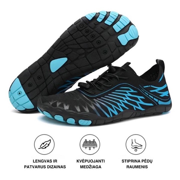 (Bulk 1) BAREO PP IMAGES – New markets – LT – BLUE